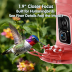 4K Hummingbird Feeder with Camera,No Subscription,Solar Powered