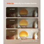 Dreamegg Sunrise Alarm Clock, Natural Wake up Light, White Noise Machine