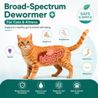 Cat Dewormer Triple Dewormer for All Worms Broad Spectrum Liquid Formula for Tapeworms, Roundworms & Hookworms, 120 mL