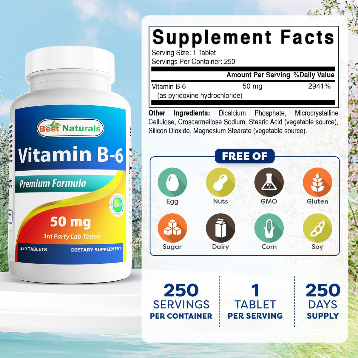 Best Naturals Vitamin B6 50 mg 250 Tablets