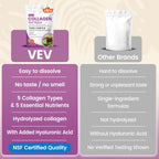 VEV Multi Collagen Peptides Powder, Types I, II, III, V & X, 41 Servings | NSF Certified, Hydrolyzed Collagen with Hyaluronic Acid, Biotin & Vitamin C, Unflavored, 16 oz