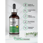 Horbäach Damiana Leaf Herb Tincture | 2 fl oz | Super Concentrated