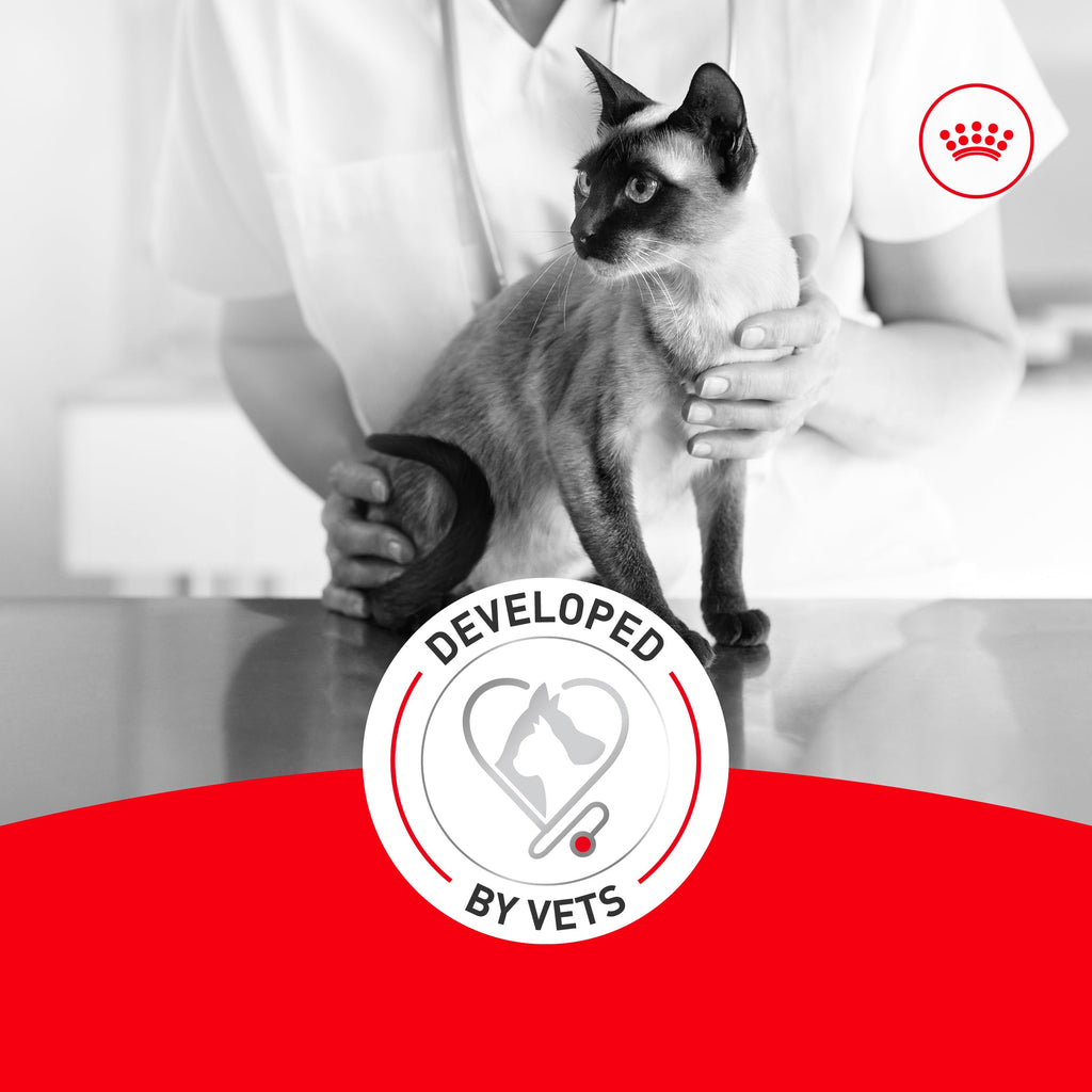 ROYAL CANIN Fussy Dry Cat Food for Adult Cats, Protein-Rich Kibbles for Picky Eaters, Poultry-Based, Supports Healthy Weight and Urinary Health, 7 lb Bag