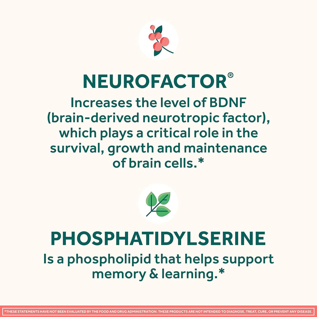 Buy now NEURIVA Original Decaffeinated Clinically Tested Nootropic Brain Supplement for Memory, Focus & Concentration, NeuroFactor & Phosphatidylserine, 28ct Capsules at indiglob india
