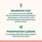 Buy now NEURIVA Original Decaffeinated Clinically Tested Nootropic Brain Supplement for Memory, Focus & Concentration, NeuroFactor & Phosphatidylserine, 28ct Capsules at indiglob india
