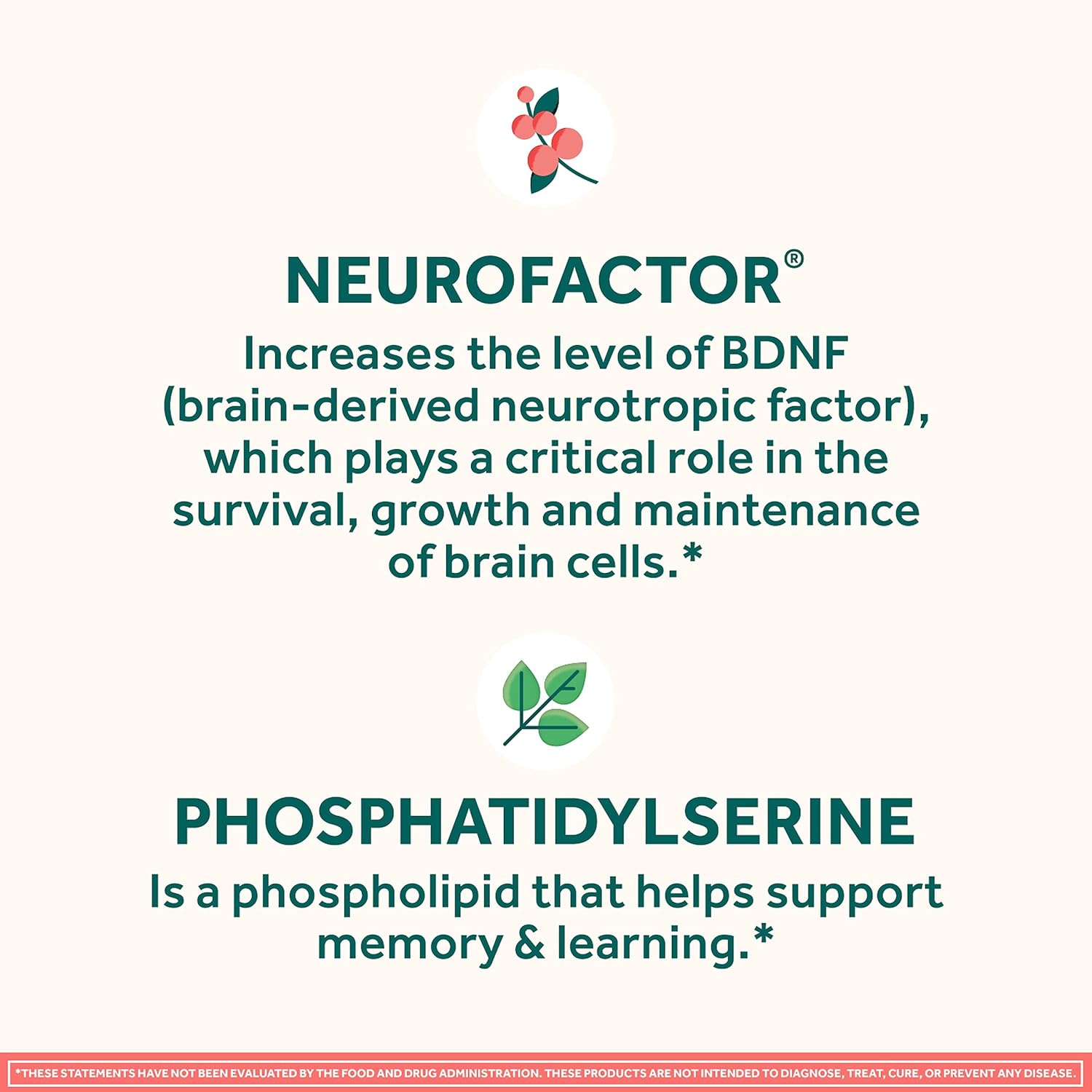 Buy now NEURIVA Original Decaffeinated Clinically Tested Nootropic Brain Supplement for Memory, Focus & Concentration, NeuroFactor & Phosphatidylserine, 28ct Capsules at indiglob india