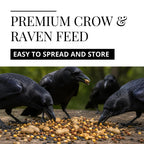 Crow Raven Feed Mix | Whole Peanuts Sunflower Cracked Corn Cat Food | 12 oz