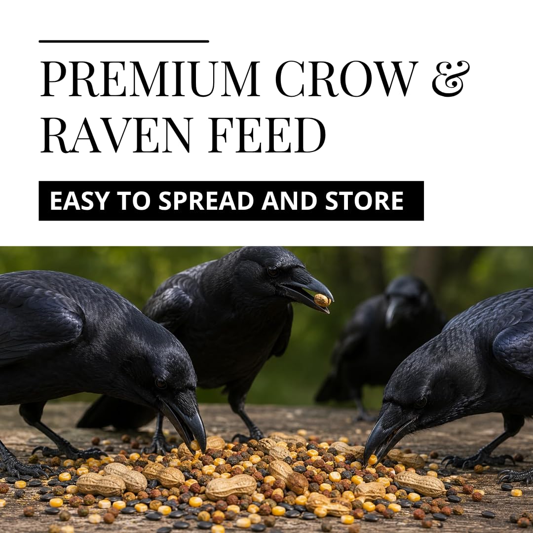 Crow Raven Feed Mix | Whole Peanuts Sunflower Cracked Corn Cat Food | 12 oz