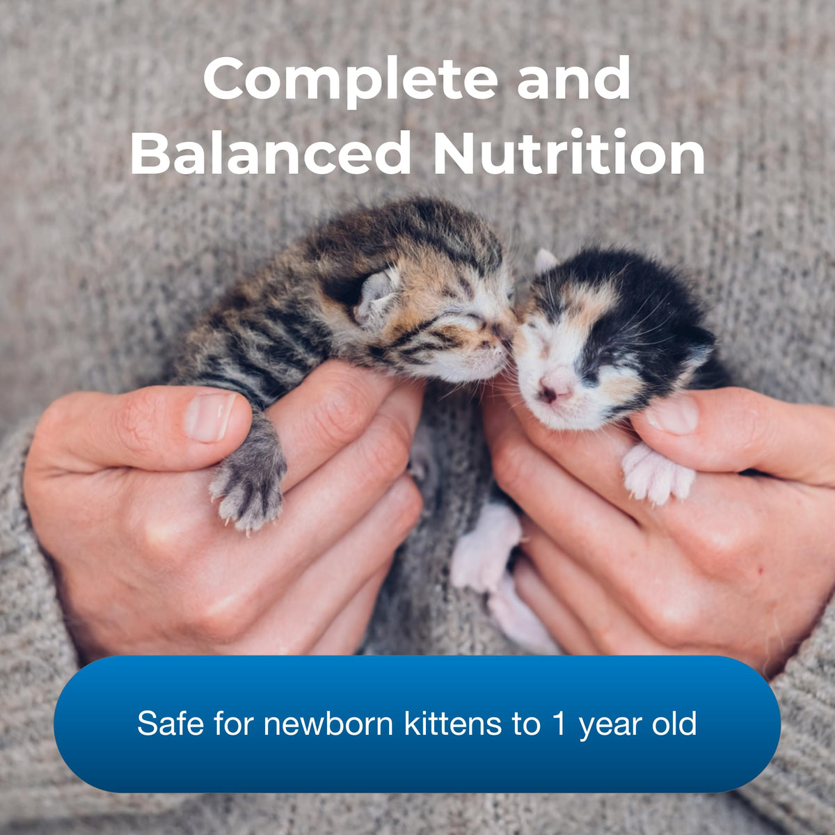 Pet-Ag PetLac Powder for Kittens - 10.5 oz - Kitten Milk Replacement Powder for Kittens Newborn to Six Weeks Old - Easy to Digest