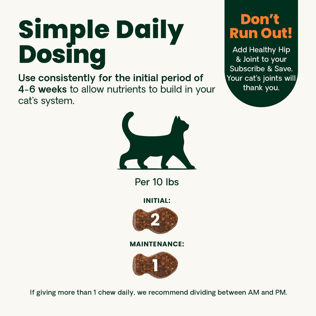 Buy now VetriScience Healthy Hip & Joint Chews, GlycoFlex Glucosamine and Green-Lipped Mussel Joint Support Supplement for Cats, Promote Mobility and Protect Joints, Chicken, 60 Count at indiglob india