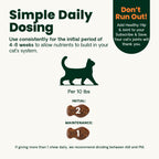 Buy now VetriScience Healthy Hip & Joint Chews, GlycoFlex Glucosamine and Green-Lipped Mussel Joint Support Supplement for Cats, Promote Mobility and Protect Joints, Chicken, 60 Count at indiglob india