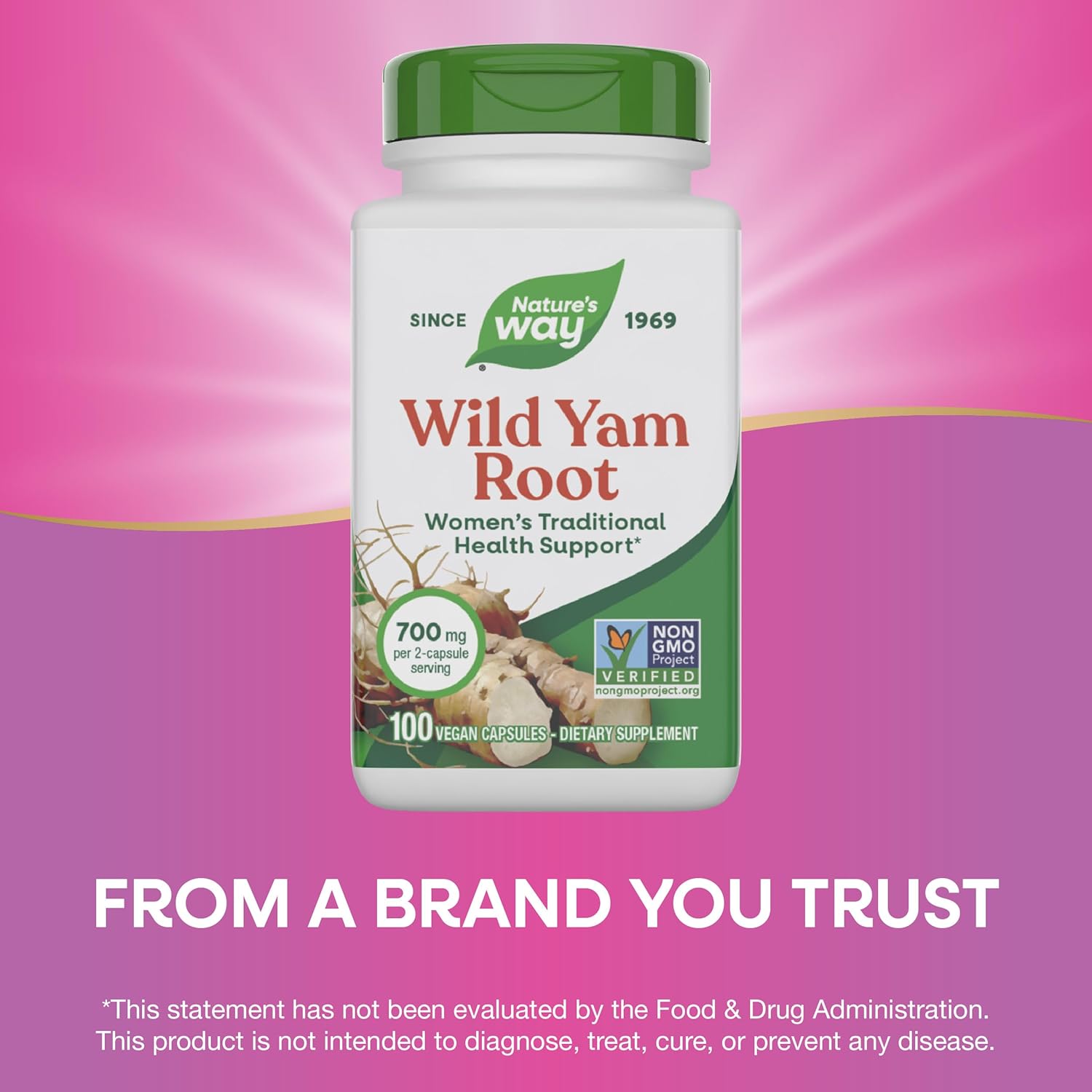 Buy now Nature's Way Wild Yam Root Capsules, Women's Traditional Health Support*, 700 mg per 2-Capsule Serving, Non-GMO Project Verified, 100 Vegan Capsules (Packaging May Vary) at indiglob india
