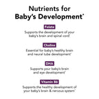Theralogix TheraNatal Complete – Prenatal Vitamin, NSF Certified
