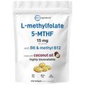 Micro Ingredients L Methylfolate 15mg, 240 Softgels | Active 5-MTHF with B6 & Methyl B12 | Methylated Vitamin B9 with Coconut Oil