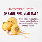 Organic Maca Root Capsules for Women, Peruvian Maca 2250MG Extra Strength | Red Black & Yellow Root Powder with Black Pepper for Absorption, Herbal Support for Energy & Hormone Balance, 120 Capsules