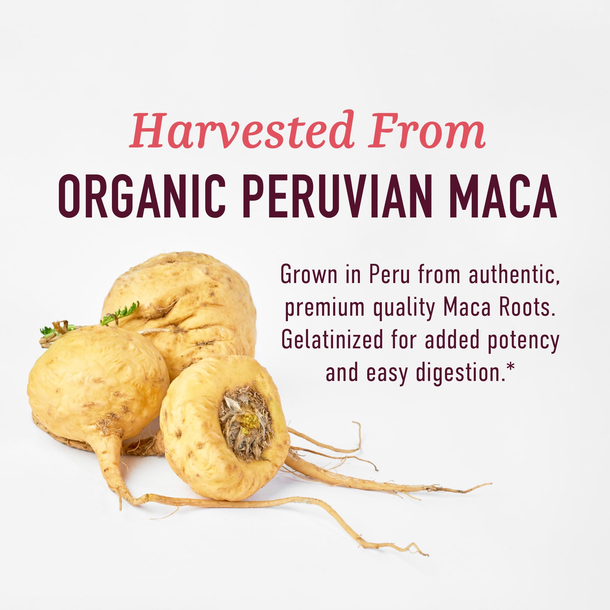 Organic Maca Root Capsules for Women, Peruvian Maca 2250MG Extra Strength | Red Black & Yellow Root Powder with Black Pepper for Absorption, Herbal Support for Energy & Hormone Balance, 120 Capsules