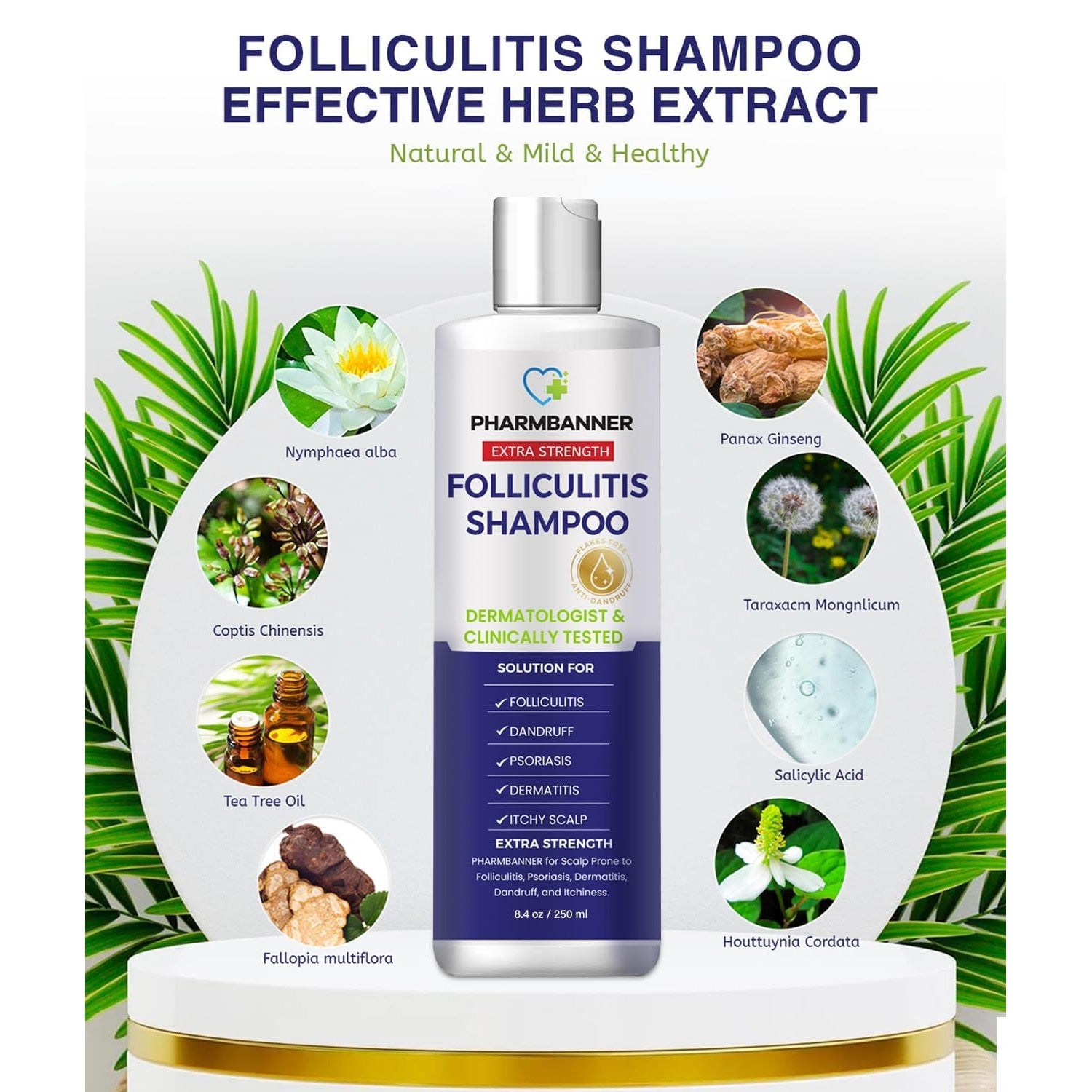 PHARMBANNER Anti-Fungal Shampoo for Folliculitis, Seborrheic Dermatitis, Scalp Psoriasis - Relieves Itchy & Dry Scalp