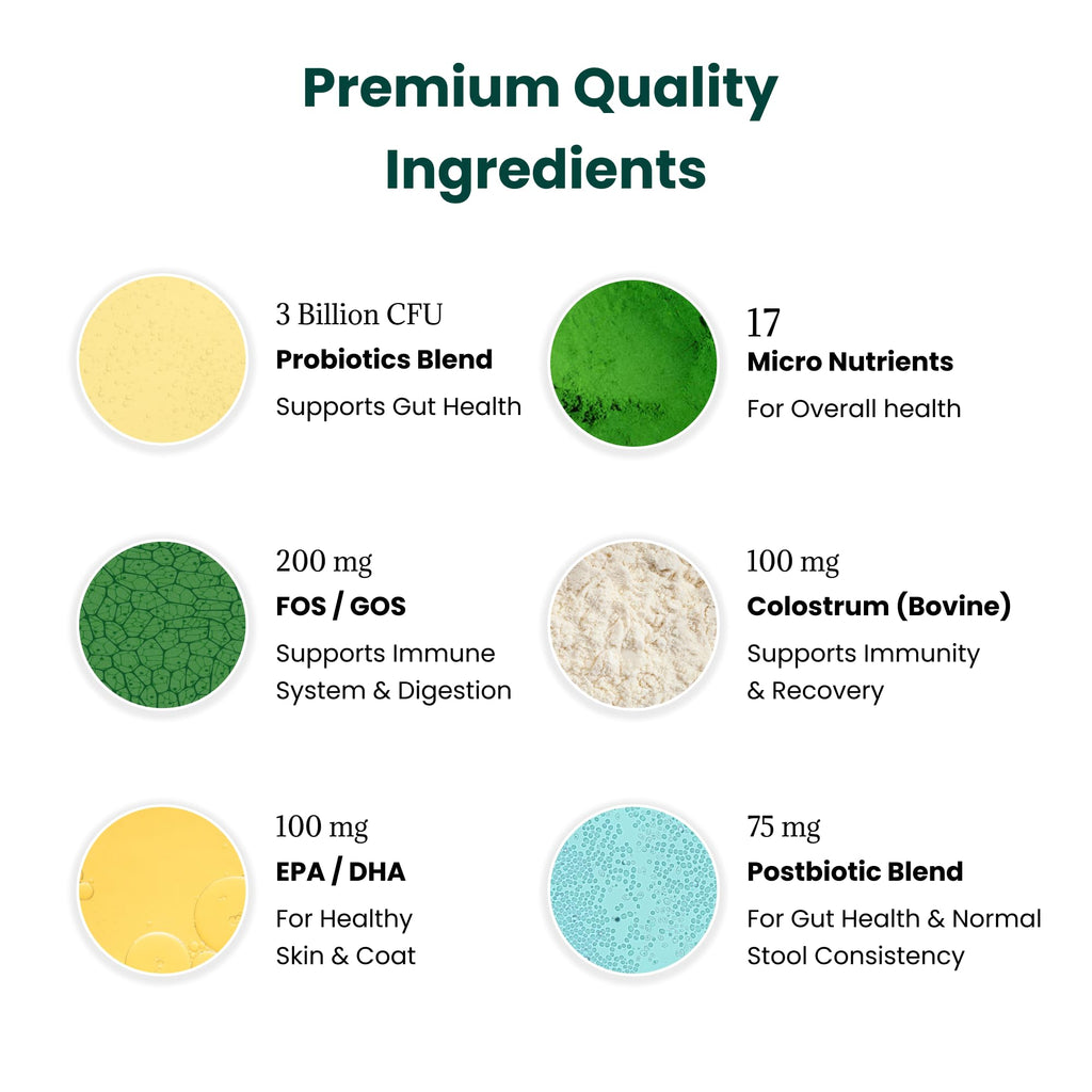 Dog Probiotics and Multivitamin Chews for Digestive Health, Immune Support, Gut Health, Allergy Support, Dog Vitamins, with Vitamin C, Omega 3, Colostrum, 60 Soft Chews per Jar
