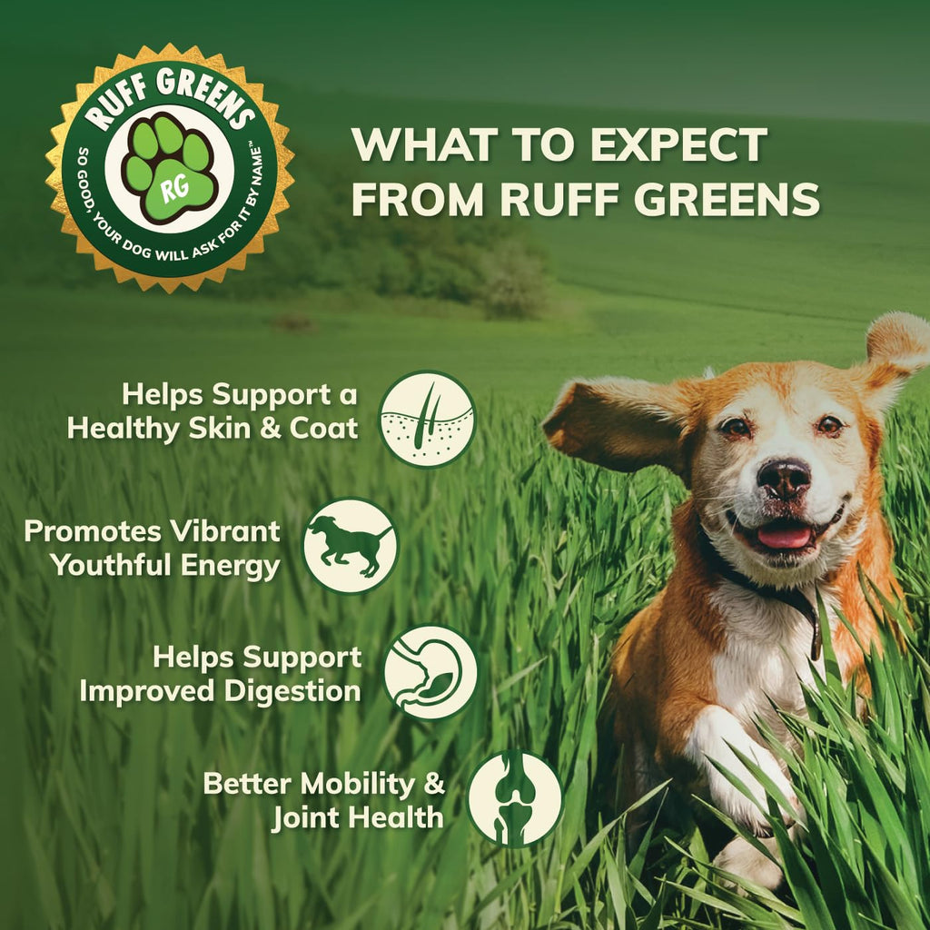 Dog Food Topper for Dogs – VitaSmart Powder with 25 Vitamins & Minerals, 15 Probiotics & 20 Digestive Enzymes – Gut, Immune, Skin & Mobility Support – All Breeds & Ages – Ruff Greens 6.9oz