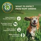 Dog Food Topper for Dogs – VitaSmart Powder with 25 Vitamins & Minerals, 15 Probiotics & 20 Digestive Enzymes – Gut, Immune, Skin & Mobility Support – All Breeds & Ages – Ruff Greens 6.9oz