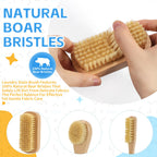DEBETOOL 3-Piece Laundry Brush for Stains on Clothes, Gentle Boar Bristl