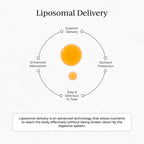 CYMBIOTIKA Liposomal Vitamin C 1000mg for Immunity & Collagen