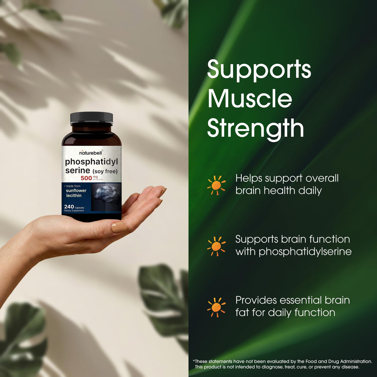 NatureBell Phosphatidylserine 500mg, 240 Capsules