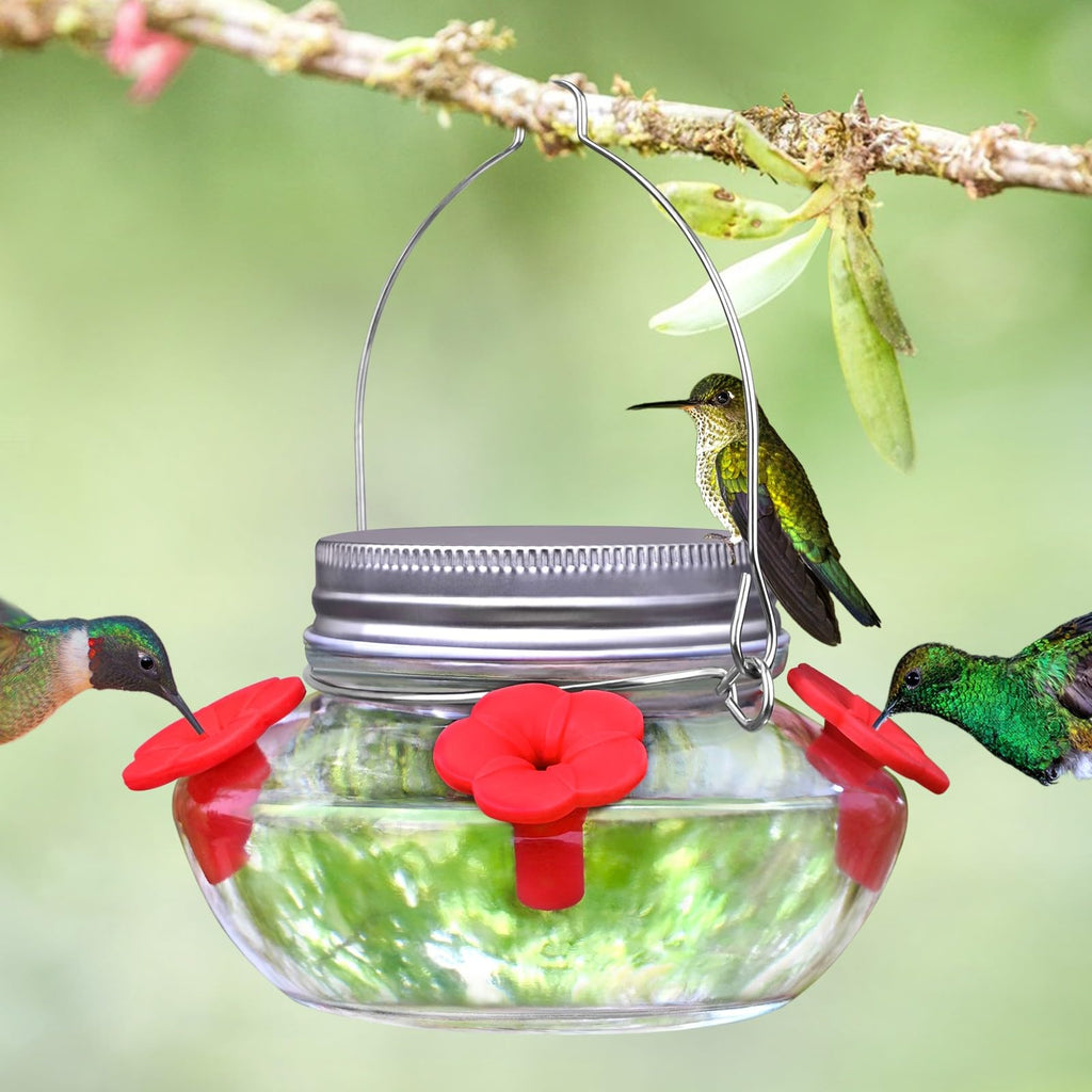 Hummingbird Feeders for Outdoors Hanging, Mason Jar Humming Bird Feeder