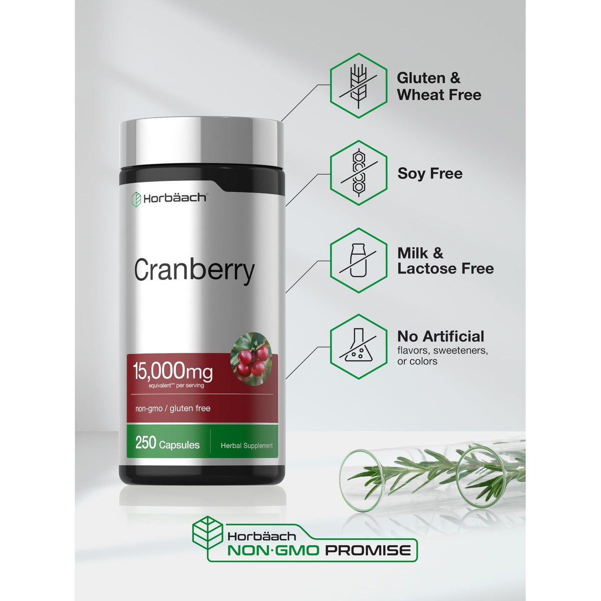 Horbäach Cranberry Concentrate Extract Pills with Vitamin C