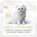 Purina Fancy Feast Kitten Tender Turkey Feast Wet Cat Food (24) 3 oz. Cans
