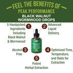 Wormwood Black Walnut Clove Cleanse for Humans Liquid Tincture Supplement