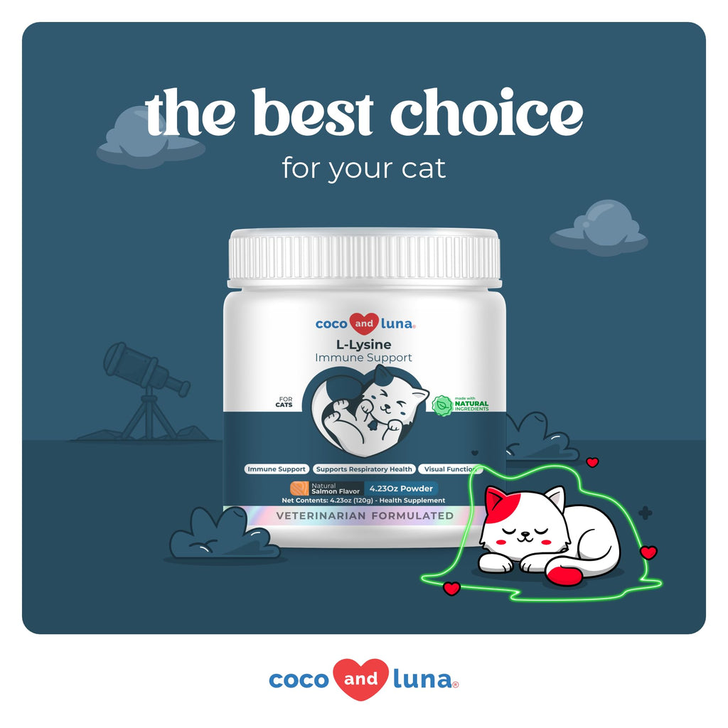L-Lysine for Cats 900mg - Immune, Eye & Respiratory Support Powder | 900mg/scoop L-Lysine supports immune, eye & respiratory health. For cats with sneezing, runny nose, cold & herpes symptoms.