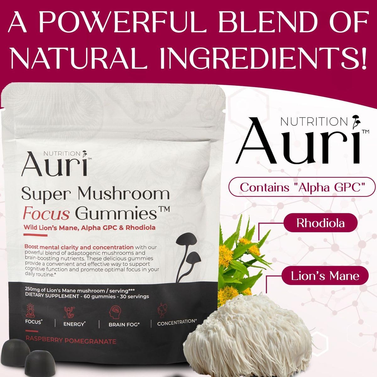 Auri Nutrition Super Mushroom Focus Gummies w/Lion's Mane, Alpha GPC & Rhodiola – Mushroom Supplement to Support Cognitive Function, Mental Clarity, Focus & Energy, 60 Gummies, Vegan Friendly, Non GMO