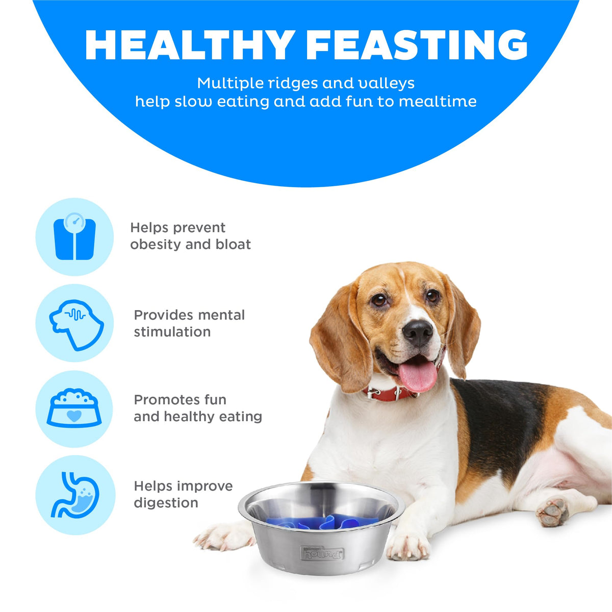 Outward Hound Fun Feeder Stainless Steel Slo Bowl for Dogs, Medium, 8.3"