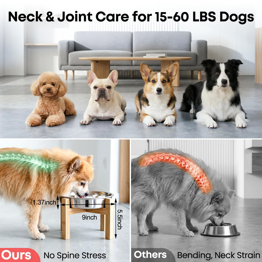 Elevated Slow Feeder Dog Bowls 2 Cups for 15-60 LBS Breed Puppy