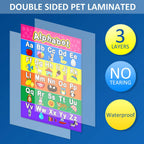 Blulu 8 Educational Preschool Posters with 60 Glue Dots, 16 x 11 Inch