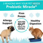 NUSENTIA Probiotics for Dogs -(360 Scoops)-Probiotic Miracle -Advanced, Species Specific Probiotics and Prebiotics to Stop Diarrhea, Loose Stool, and Yeast-Plus Immune Support