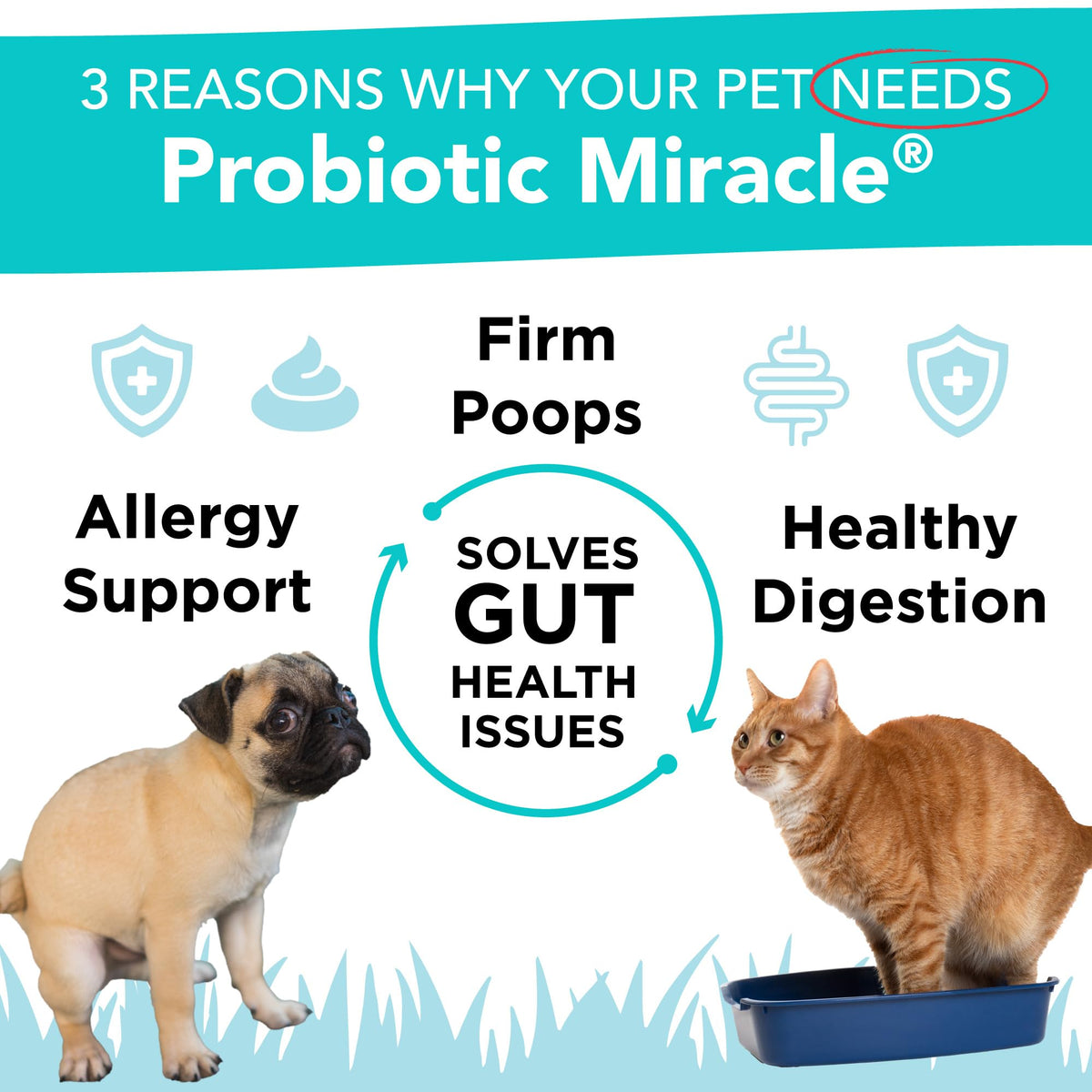 NUSENTIA Probiotics for Dogs -(360 Scoops)-Probiotic Miracle -Advanced, Species Specific Probiotics and Prebiotics to Stop Diarrhea, Loose Stool, and Yeast-Plus Immune Support