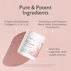 Alaya Multi Collagen Powder (Unflavored) 5 Types, MSM, NSF Cert 20 Servings