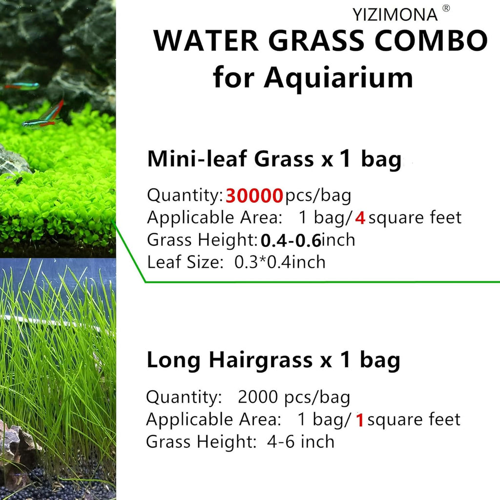 Buy now Aquarium Plant S.e,e,ds. not Fish Tank Aritificial Plastic Plant,10gram Mini-Leaf+8grame Long Hair Grass Fresh Water Carpet Decor at indiglob india