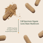 Om Lion’s Mane Mushroom Capsules - Organic Mushroom Supplement and Nootropic - Brain Supplements for Memory and Focus, 90 Count (30 Servings)