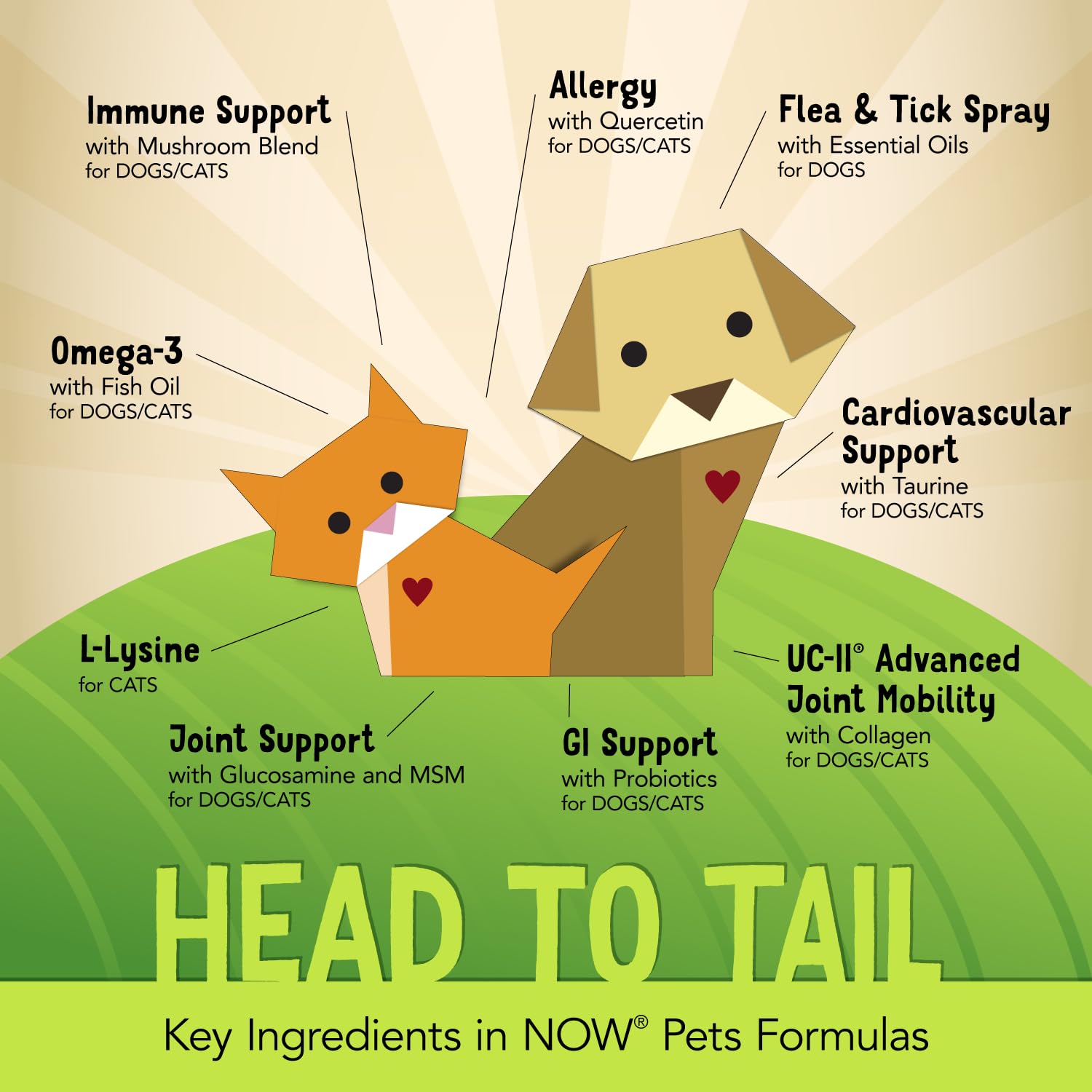 Buy now NOW Pet Health, Joint Support Supplement, Formulated for Cats & Dogs, NASC Certified, 90 Chewable Tablets at indiglob india