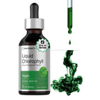 Horbäach Liquid Chlorophyll Drops | 2 fl oz | Natural Peppermint Flavor | Vegan, Non-GMO & Gluten Free Formula
