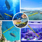 Agriculture Solutions Salinity Refractometer for Seawater and Marine Fishkeeping Aquarium 0-100 PPT with Automatic Temperature Compensation