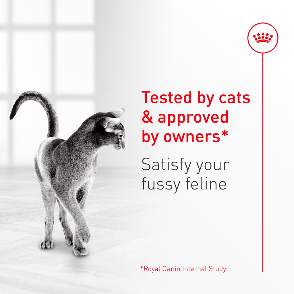 ROYAL CANIN Fussy Dry Cat Food for Adult Cats, Protein-Rich Kibbles for Picky Eaters, Poultry-Based, Supports Healthy Weight and Urinary Health, 7 lb Bag