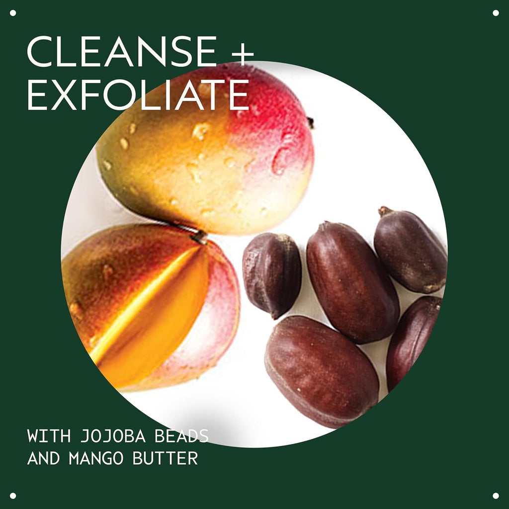 Buy now Aveda Botanical Kinetics Exfoliating Creme Cleanser | Increases Cell Turnover, Removes Skin-Dulling Surface Cells | with Mango Butter, 5 Fl Oz at indiglob india