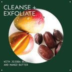Buy now Aveda Botanical Kinetics Exfoliating Creme Cleanser | Increases Cell Turnover, Removes Skin-Dulling Surface Cells | with Mango Butter, 5 Fl Oz at indiglob india
