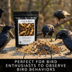 Crow Raven Feed Mix | Whole Peanuts Sunflower Cracked Corn Cat Food | 12 oz