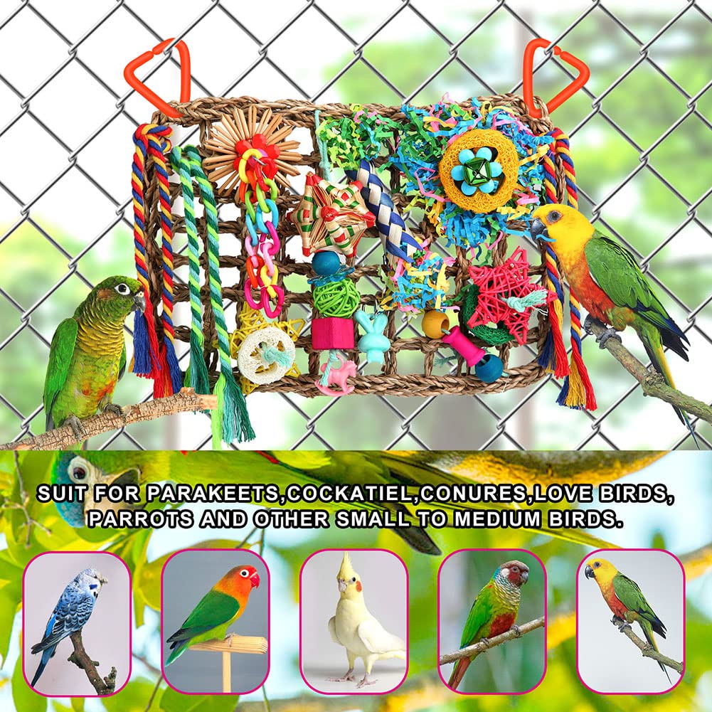 Foraging Toys for Parakeets Cockatiel Conures Lovebirds - Seagrass Wall with Various Bird Toys