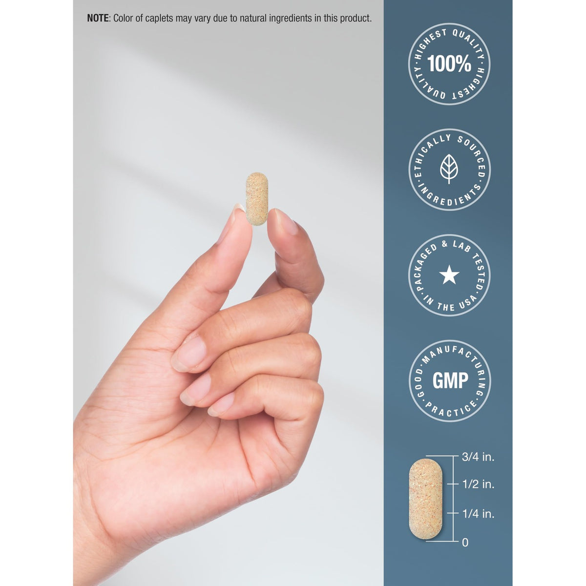 Horbäach Glucosamine Chondroitin MSM | 180 Caplets | with Turmeric